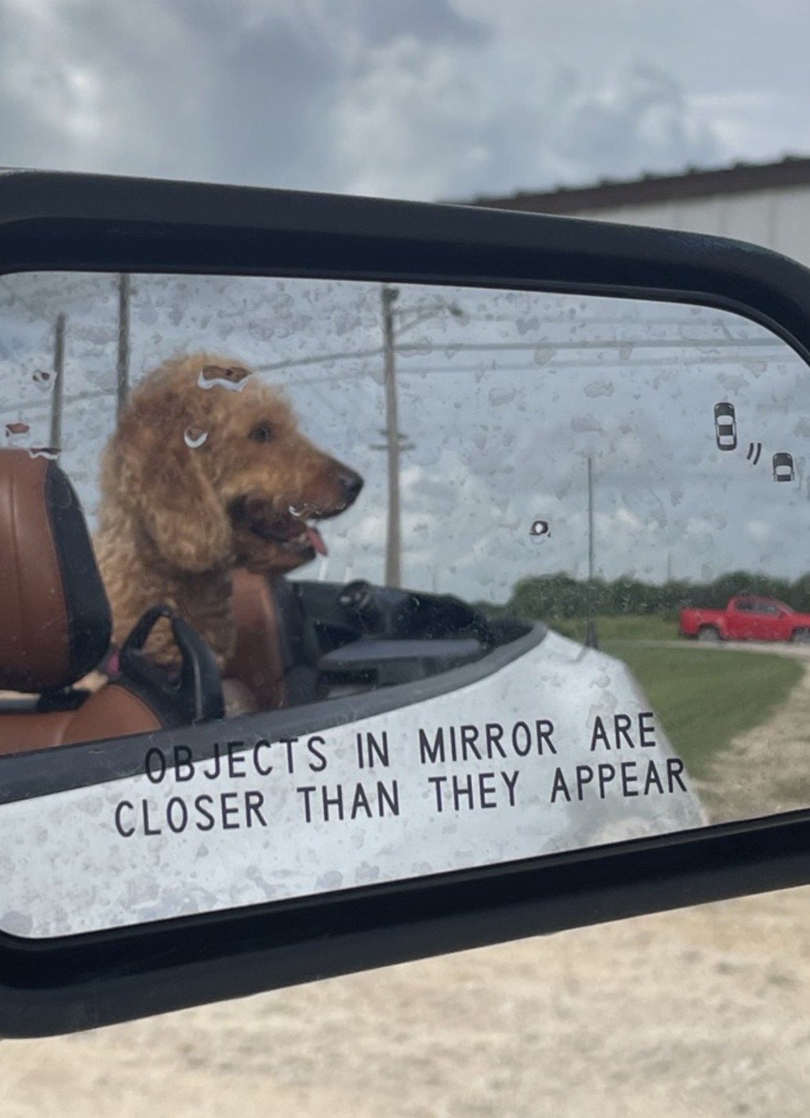 Autumn seen in a side mirror riding in the passenger seat, beneath the words objects in mirror are closer than they appear